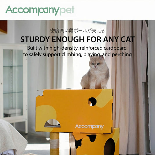 The Ultimate Cheese Condo | A 3-in-1 Cat Tree, Scratcher & Hideaway