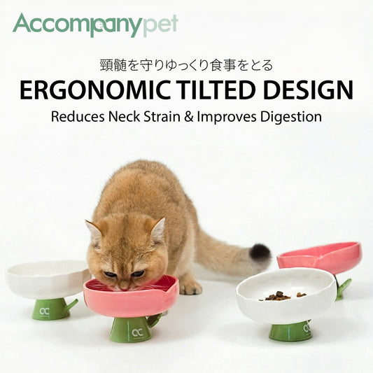 The Flower Pet Bowl | Ceramic Elevated Feeder