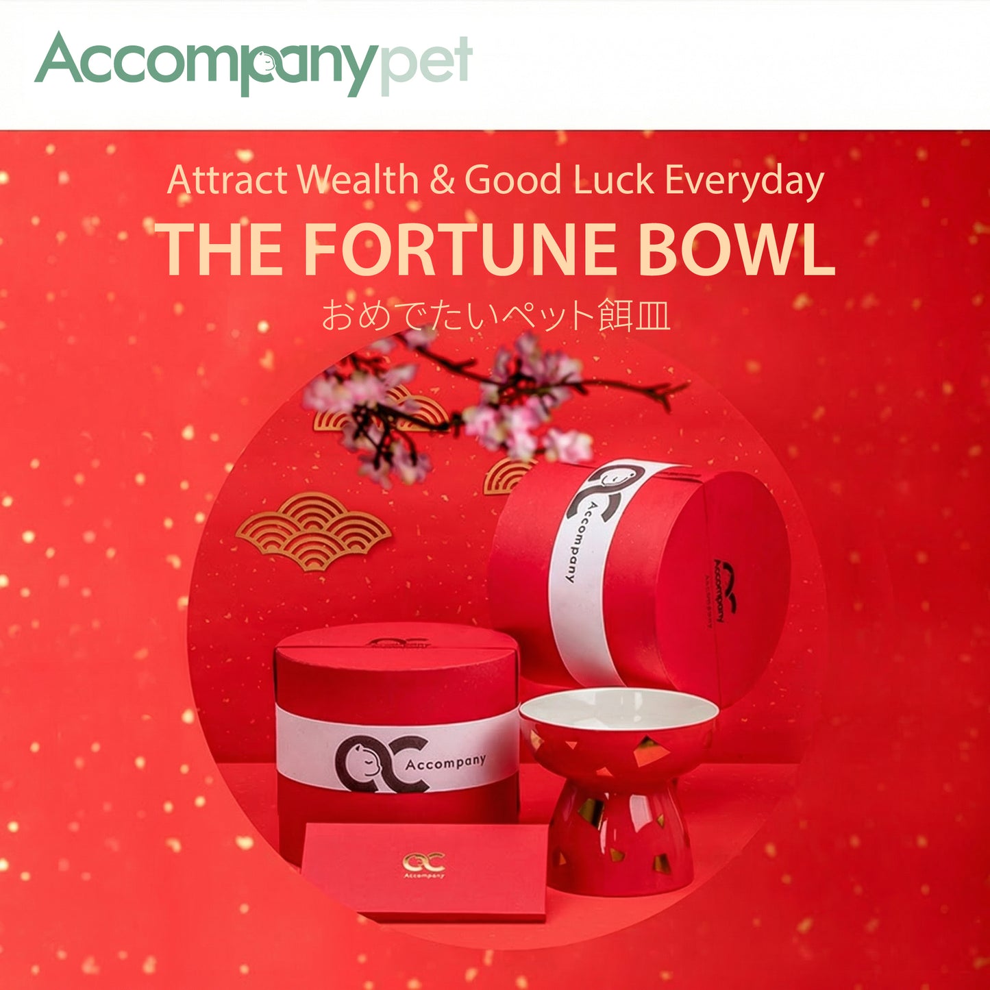 The "Fortune" Bowl | Reversible Ceramic Feeder (Grows With Your Pet)