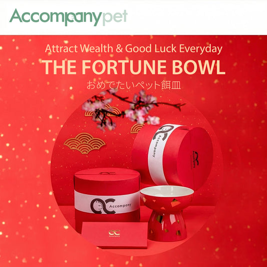 The "Fortune" Bowl | Reversible Ceramic Feeder (Grows With Your Pet)