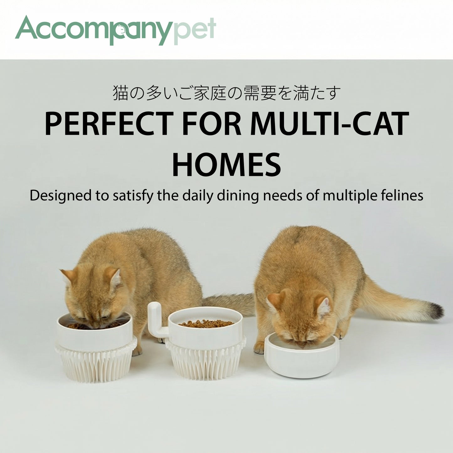 The "Cactus" Stackable Ceramic Bowl Set | 3-in-1 Feeder