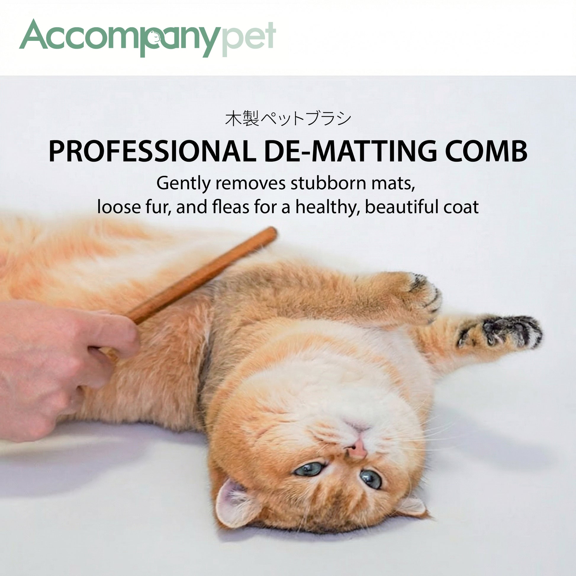 Painless detangling and de-shedding grooming experience with the solid wood pet comb