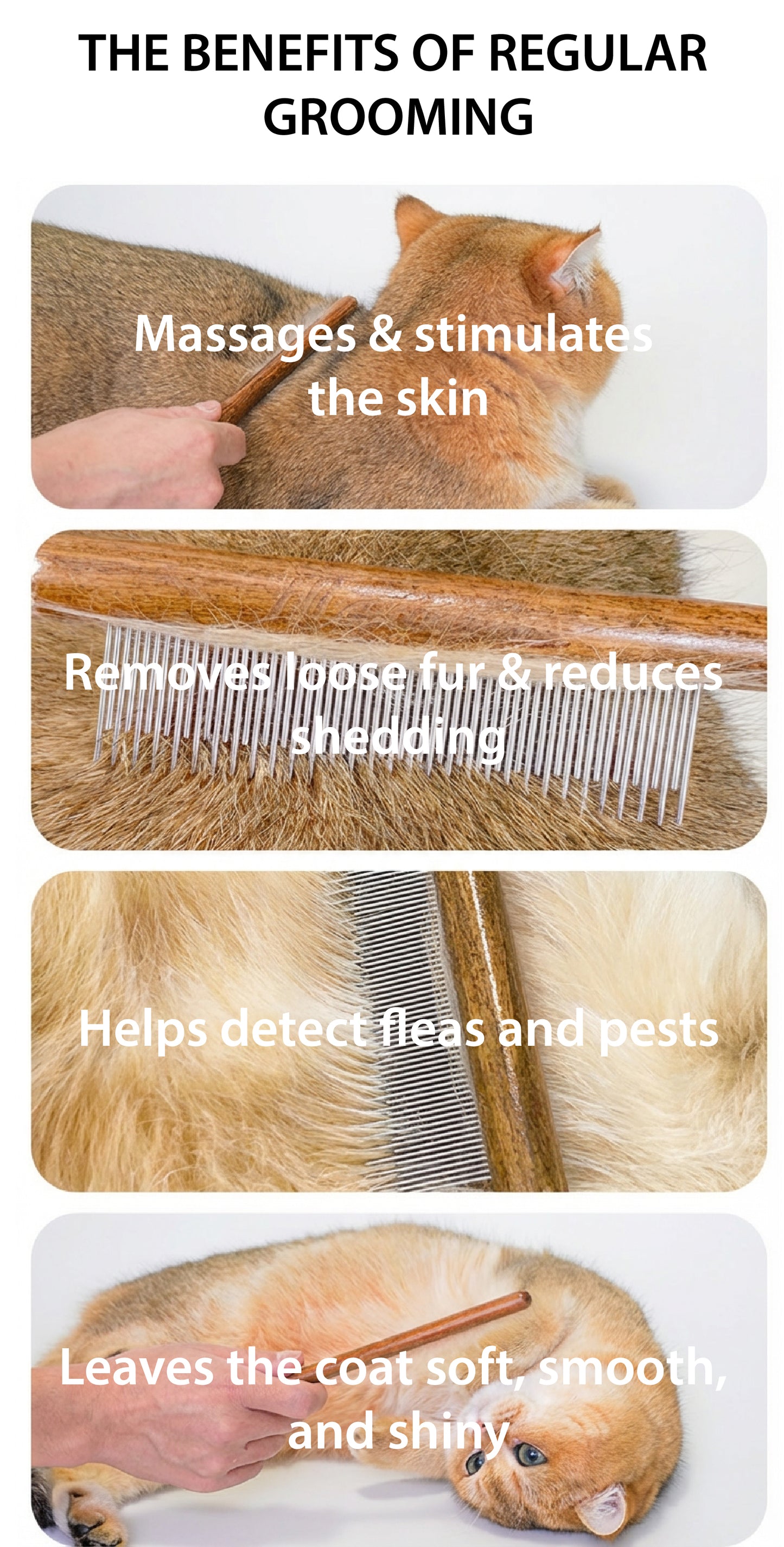 Professional De-Matting Comb | Solid Wood Grooming Tool