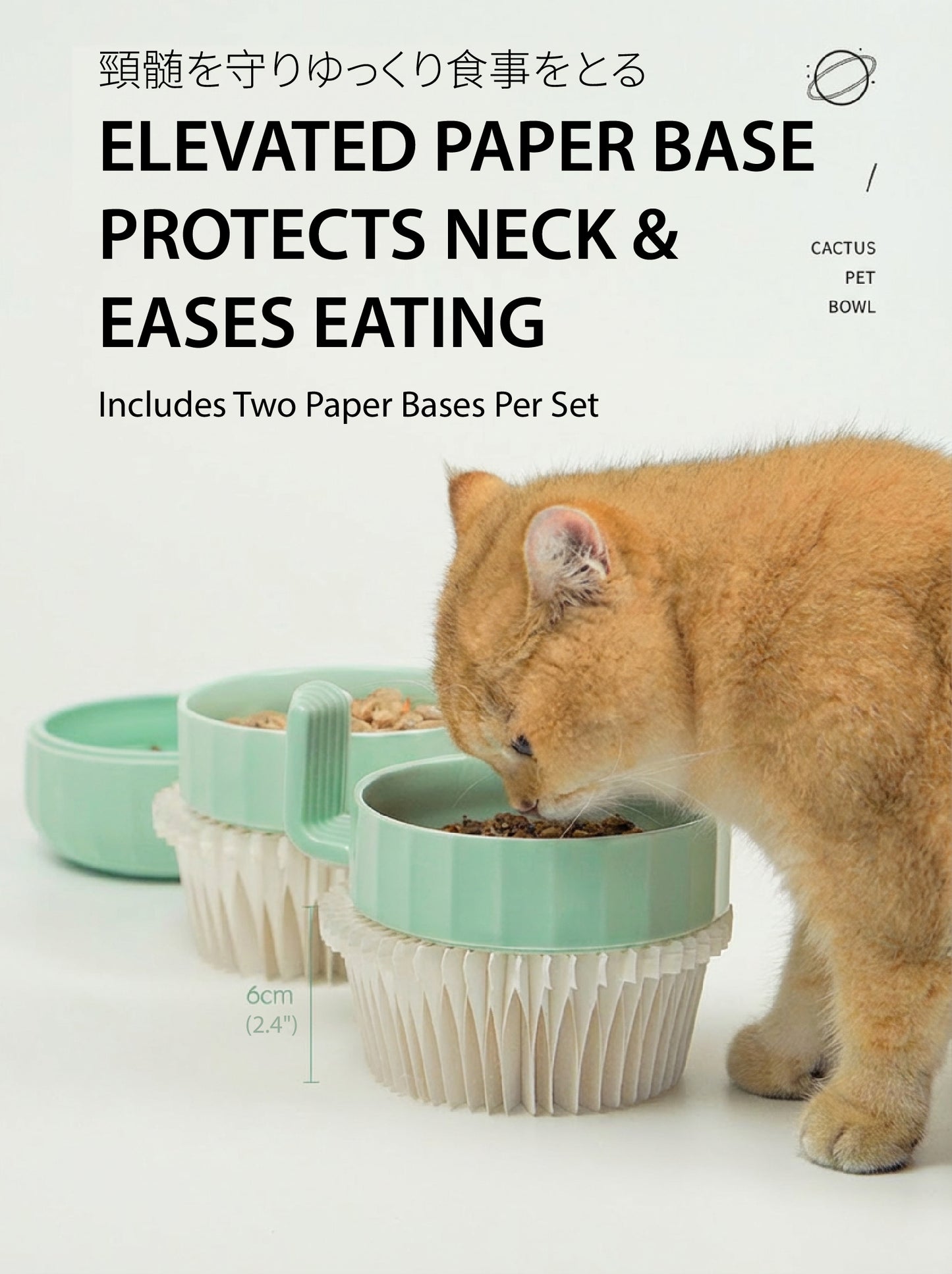 The "Cactus" Stackable Ceramic Bowl Set | 3-in-1 Feeder