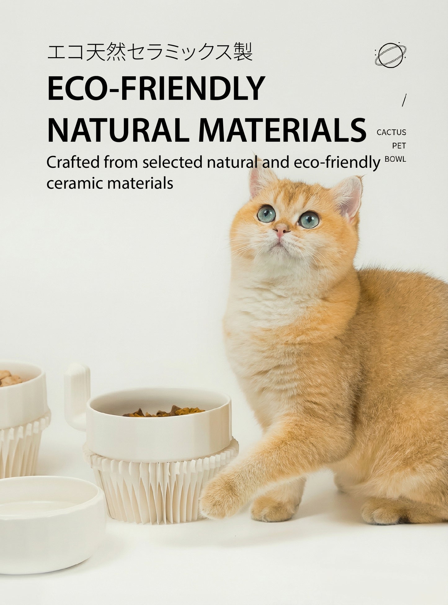 The "Cactus" Stackable Ceramic Bowl Set | 3-in-1 Feeder