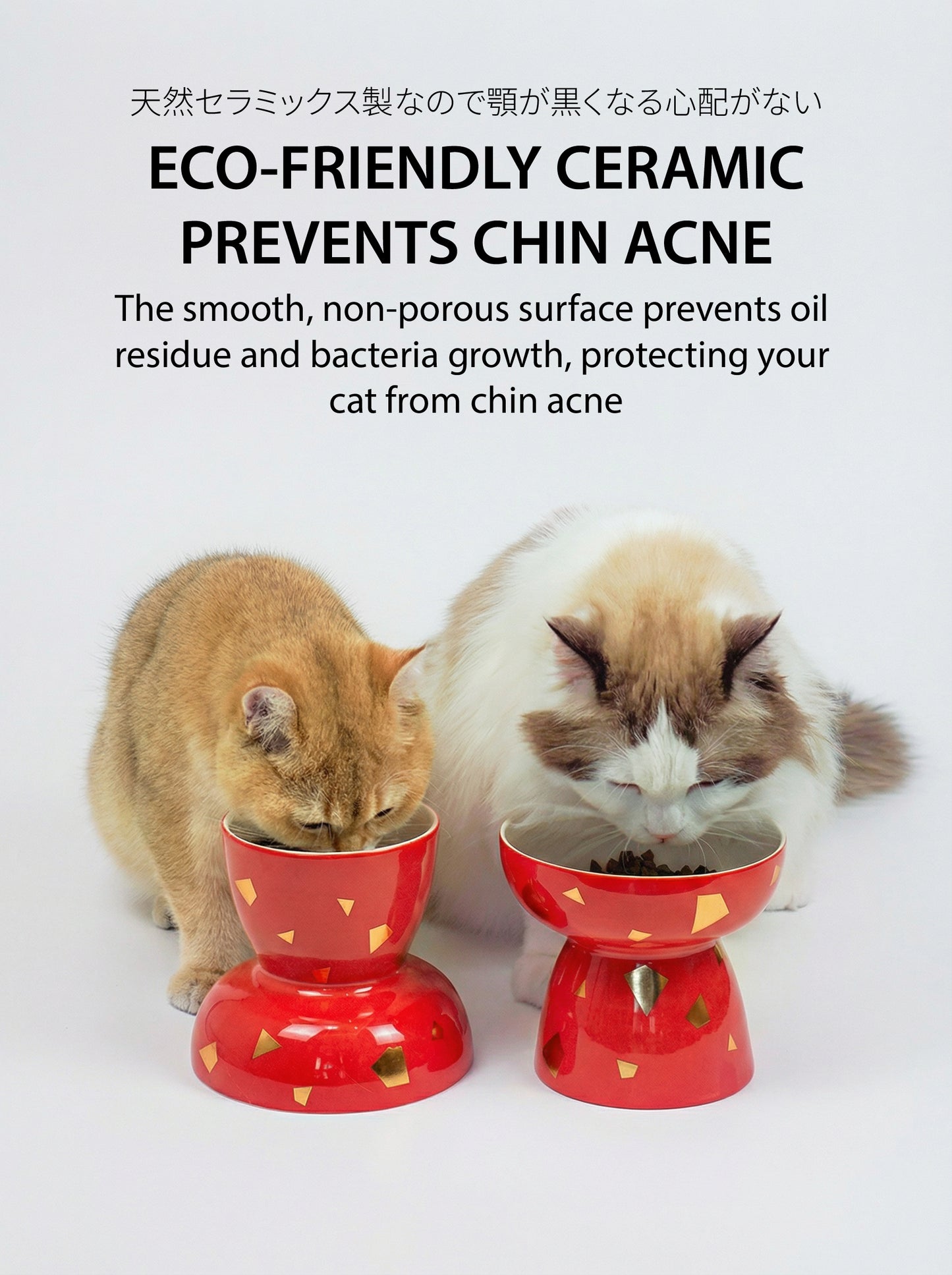 The "Fortune" Bowl | Reversible Ceramic Feeder (Grows With Your Pet)