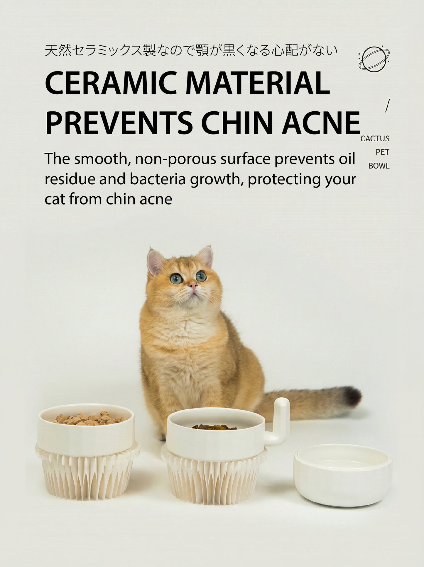 The "Cactus" Stackable Ceramic Bowl Set | 3-in-1 Feeder