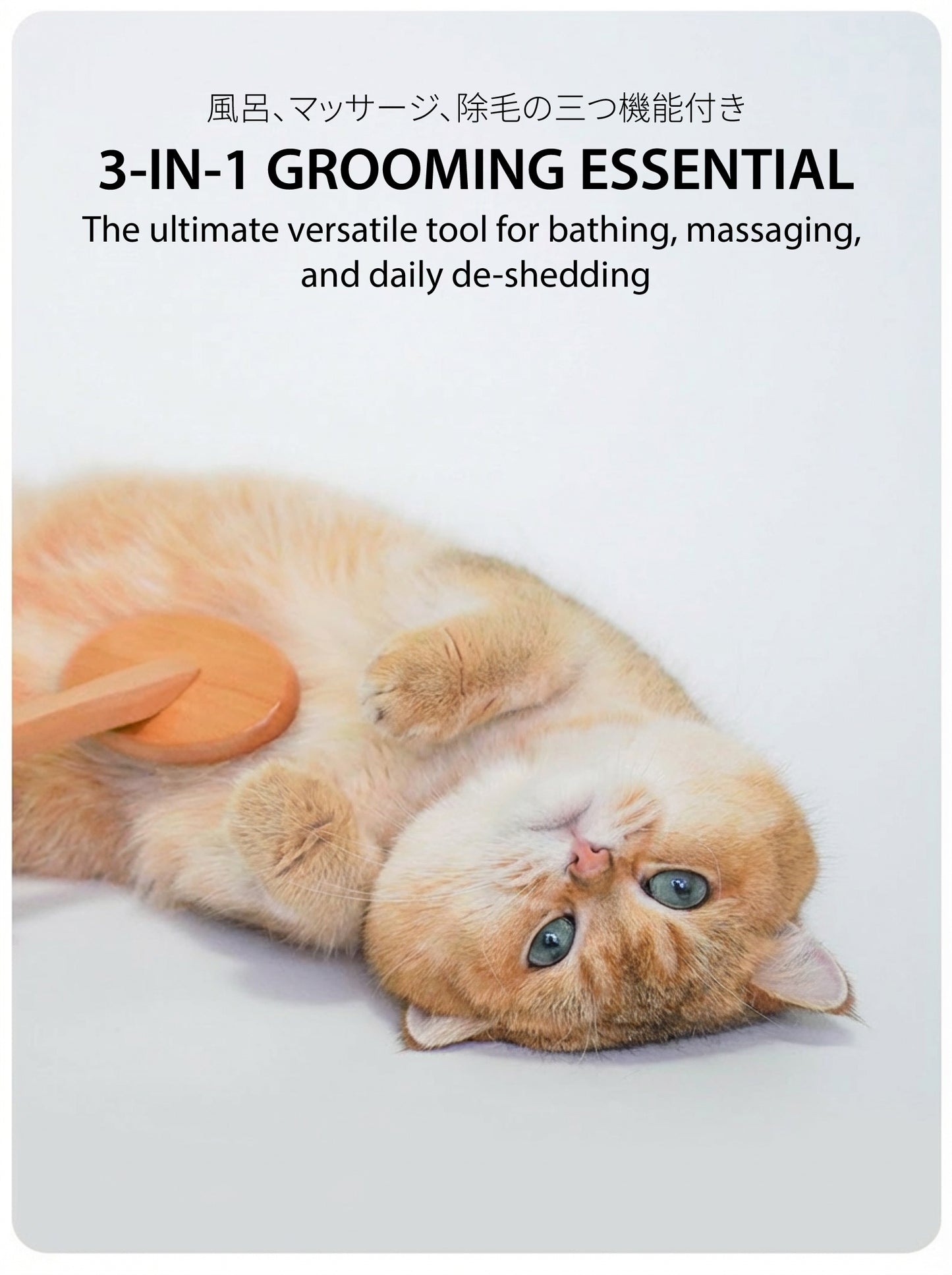 Soothing Spa Massage Brush | 3-in-1 Grooming Tool for Cats & Dogs