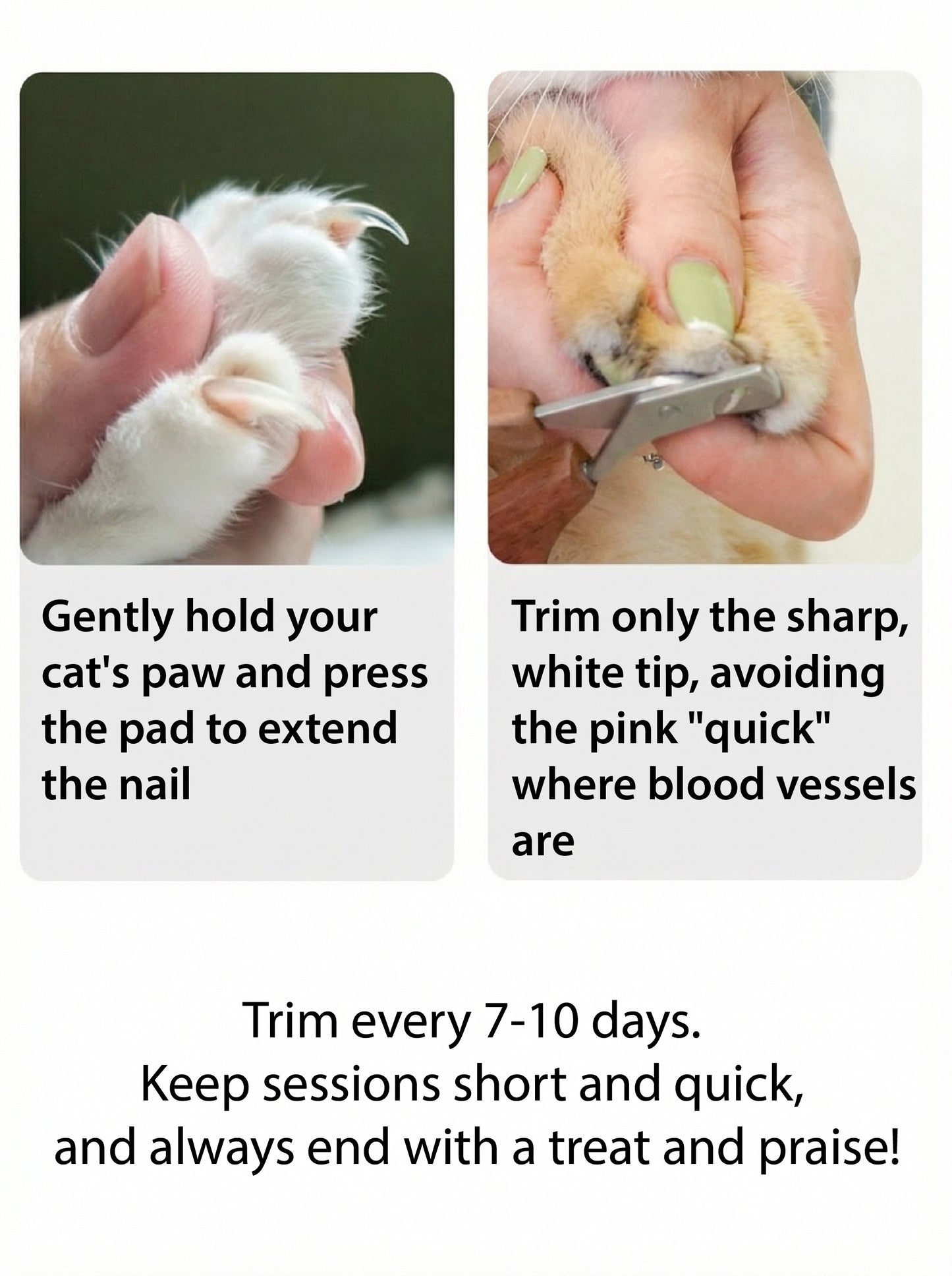 Professional Walnut Nail Clippers | Ergonomic Pet Grooming Tool