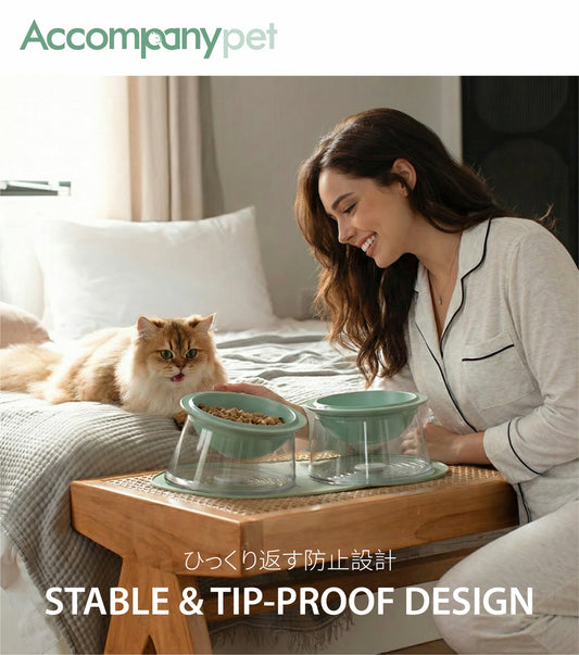 The "Happy Planet" Bowl | Elevated Ceramic Feeder (Anti-Whisker Fatigue)