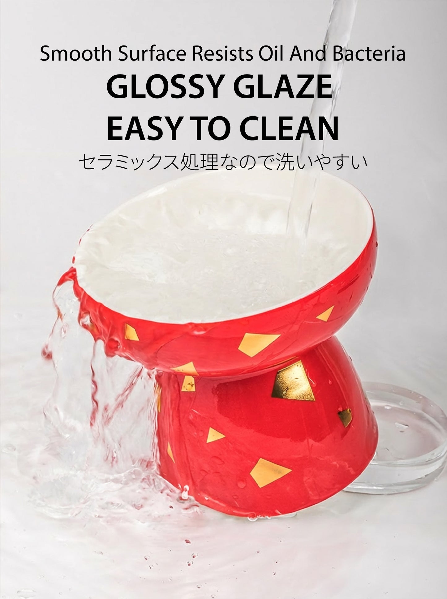 The "Fortune" Bowl | Reversible Ceramic Feeder (Grows With Your Pet)