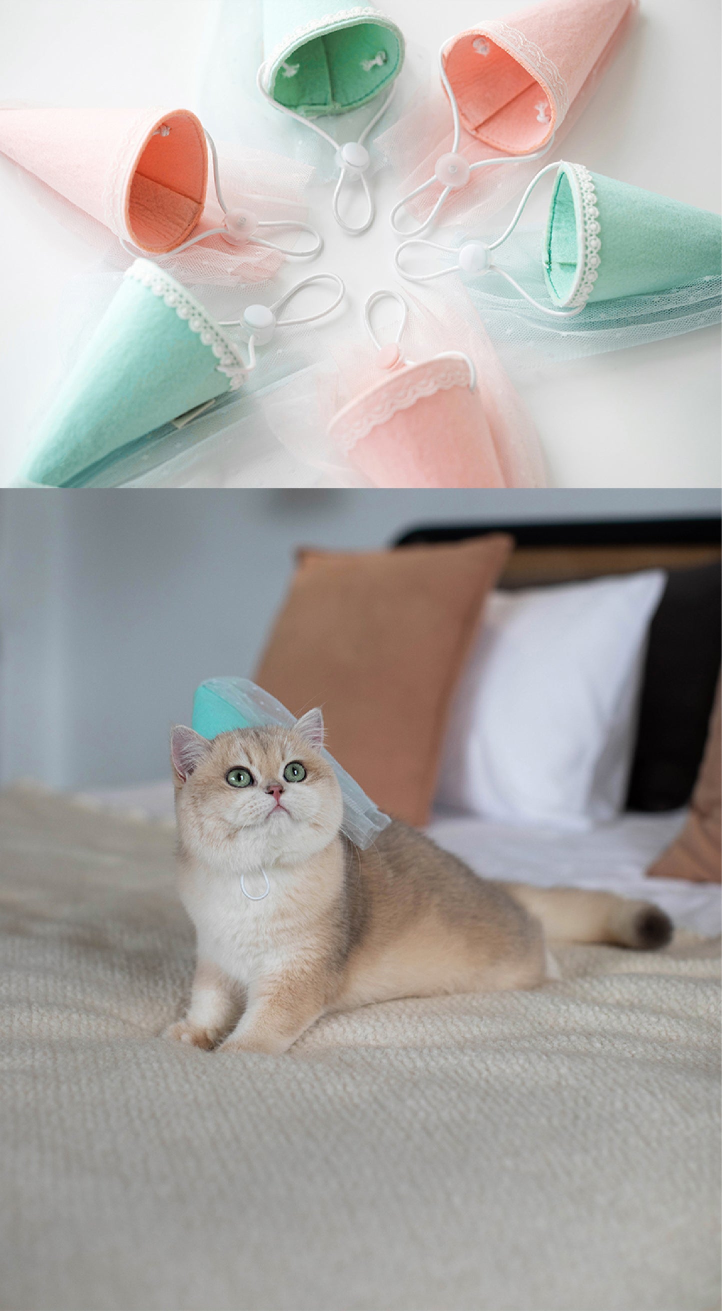 Pastel Princess Party Hat | An Elegant Celebration Hat with Veil