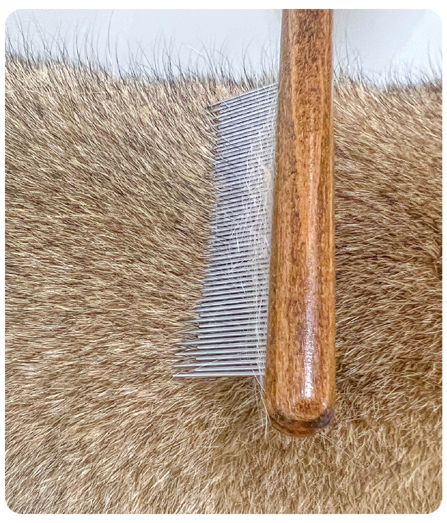 Professional De-Matting Comb | Solid Wood Grooming Tool