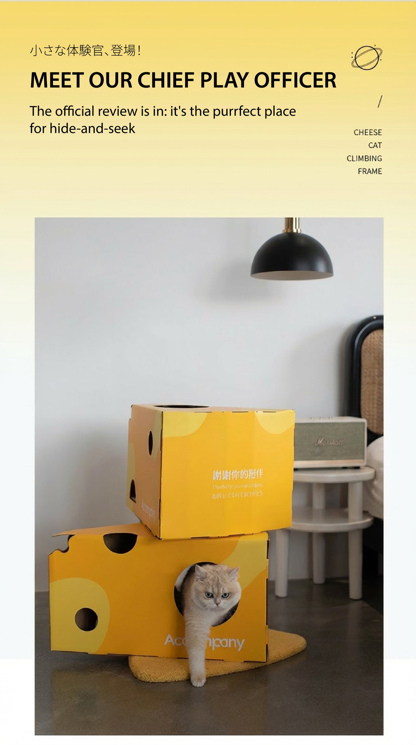 The Ultimate Cheese Condo | A 3-in-1 Cat Tree, Scratcher & Hideaway