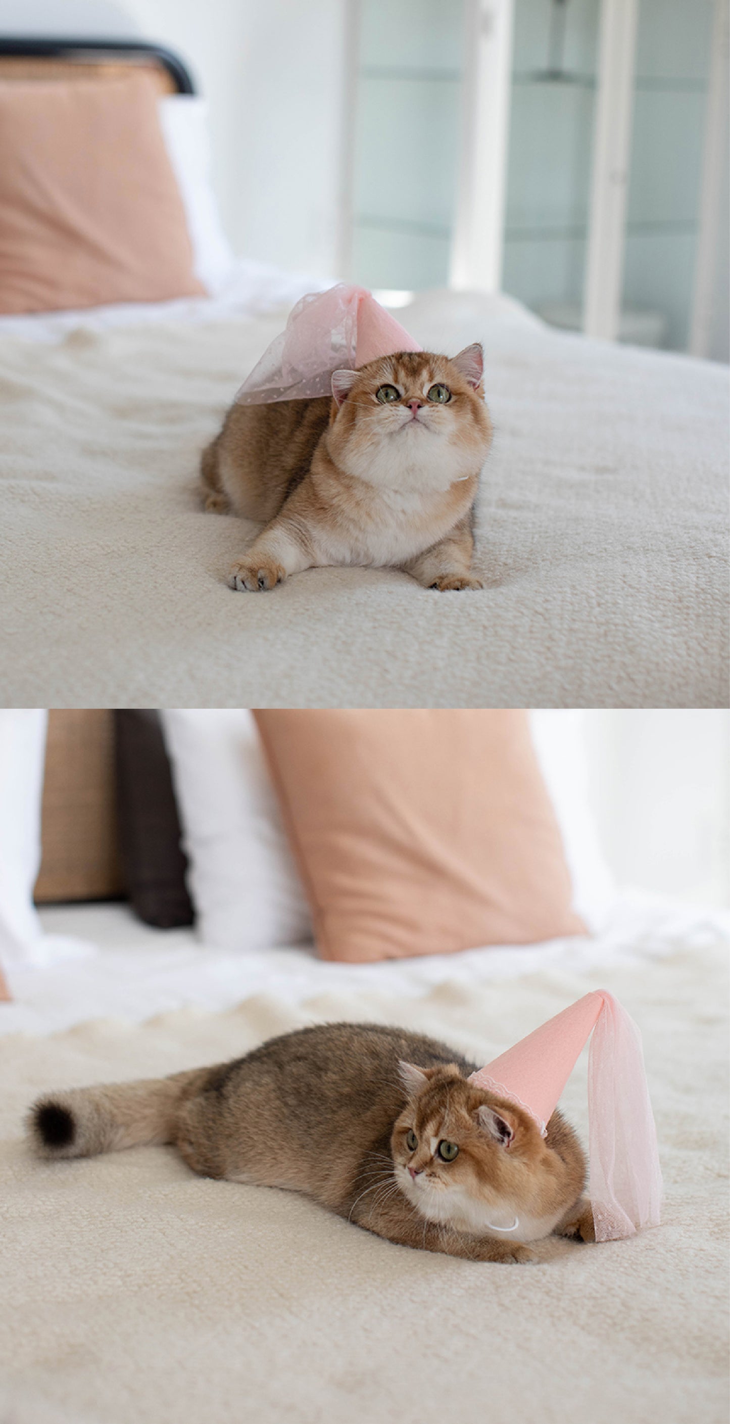 Pastel Princess Party Hat | An Elegant Celebration Hat with Veil