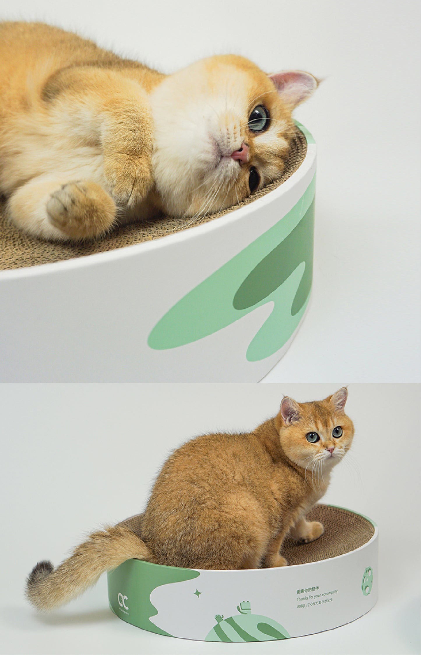 Planet Scratcher Lounge | A 2-in-1 Cat Scratcher & Bed