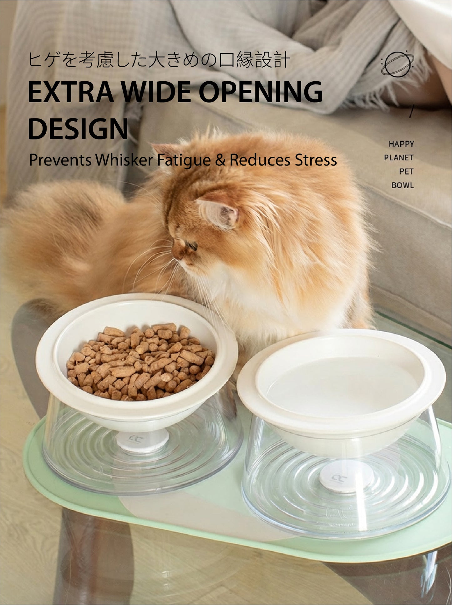 The "Happy Planet" Bowl | Elevated Ceramic Feeder (Anti-Whisker Fatigue)