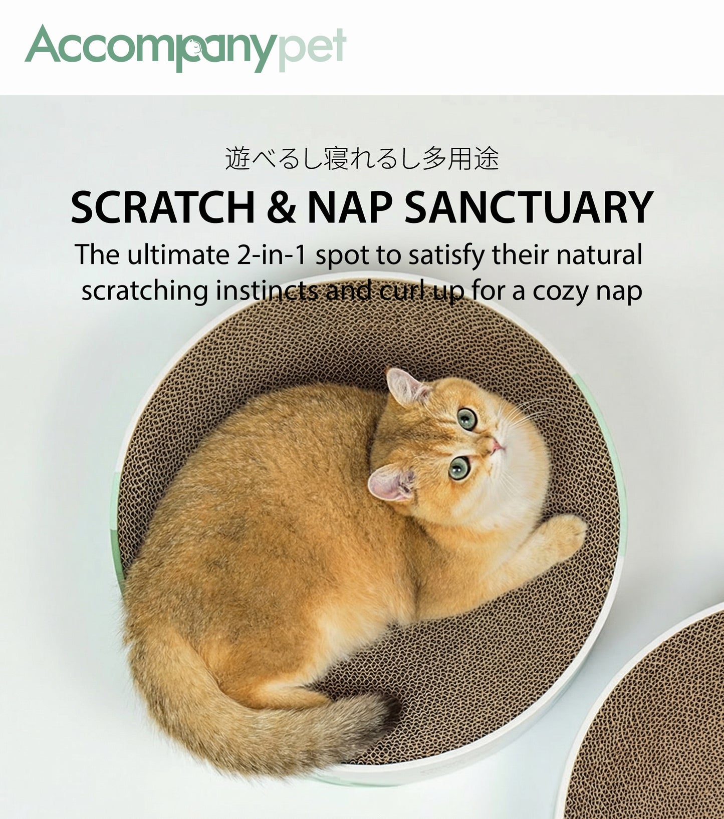 Planet Scratcher Lounge | A 2-in-1 Cat Scratcher & Bed