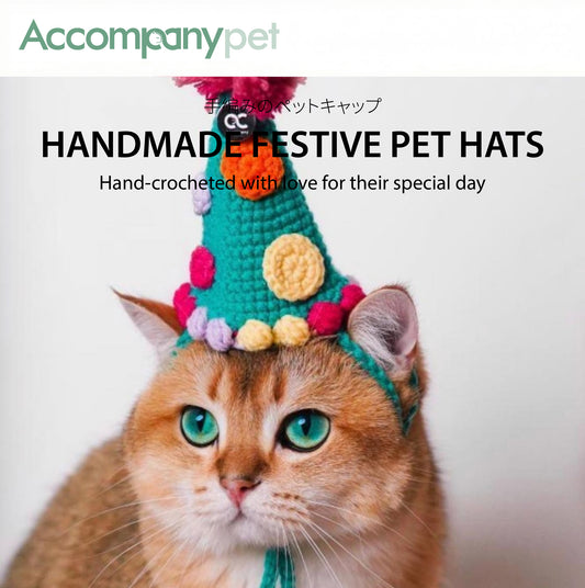 Handmade Festive Pet Hat | A Hand-Crocheted Celebration Hat