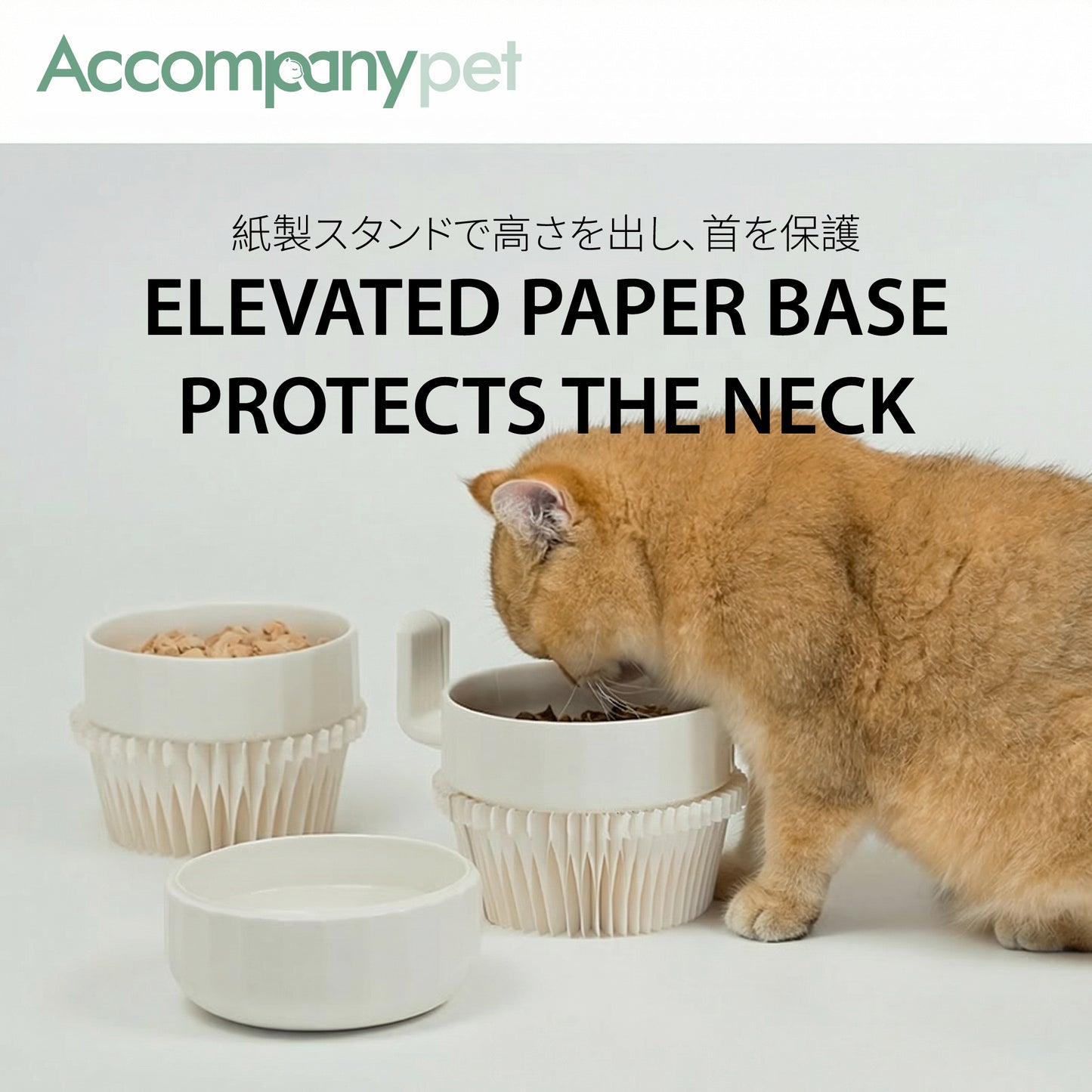 The "Cactus" Stackable Ceramic Bowl Set | 3-in-1 Feeder