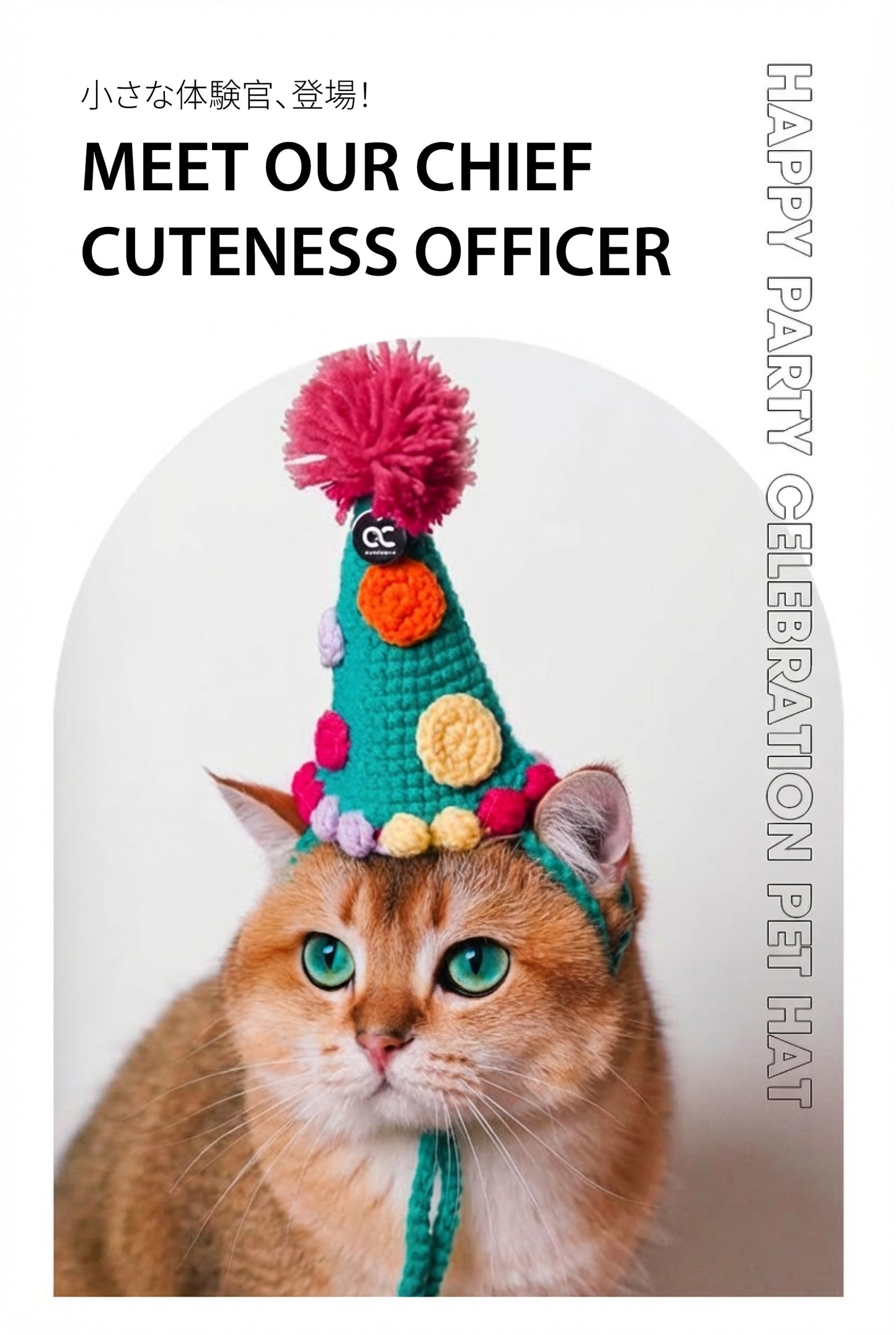 Handmade Festive Pet Hat | A Hand-Crocheted Celebration Hat