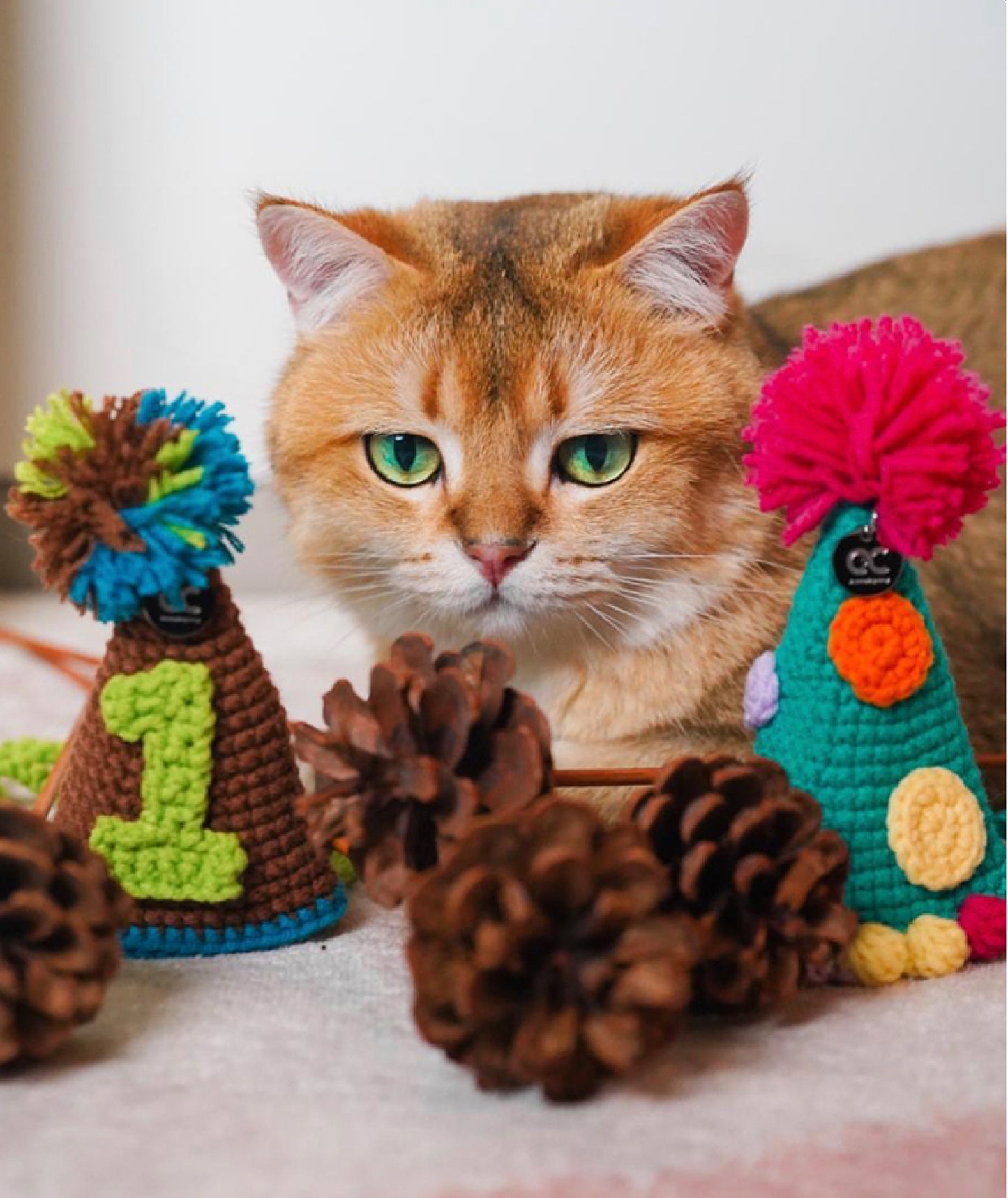 Handmade Festive Pet Hat | A Hand-Crocheted Celebration Hat