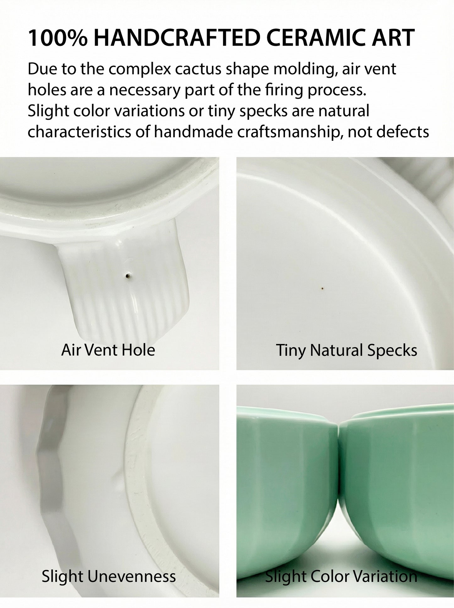 The "Cactus" Stackable Ceramic Bowl Set | 3-in-1 Feeder