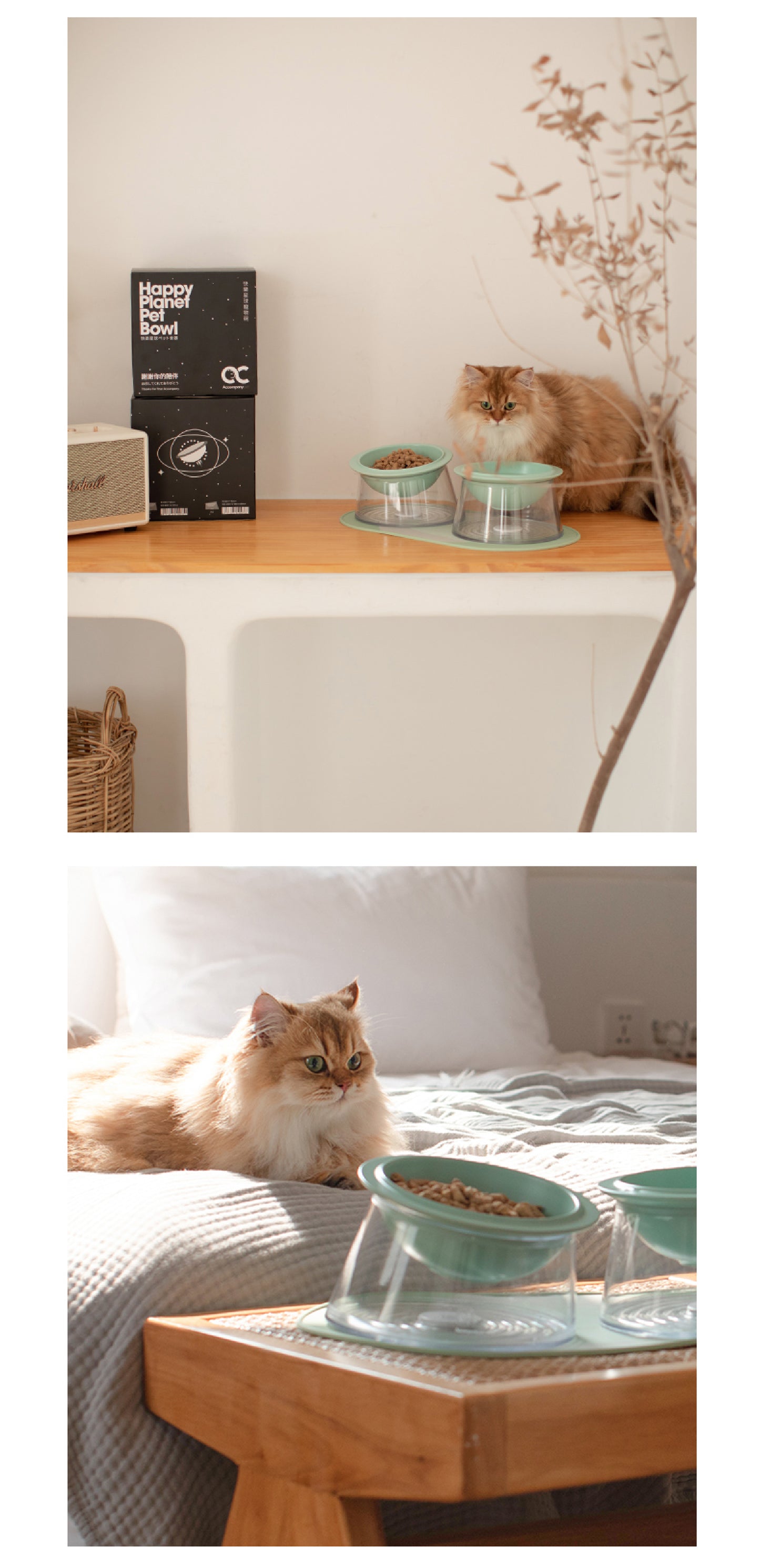 The "Happy Planet" Silicone Placemat | Waterproof & Non-Slip