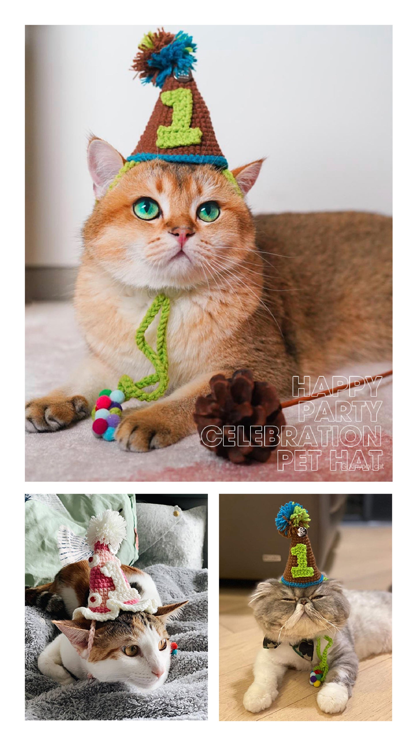 Handmade Festive Pet Hat | A Hand-Crocheted Celebration Hat