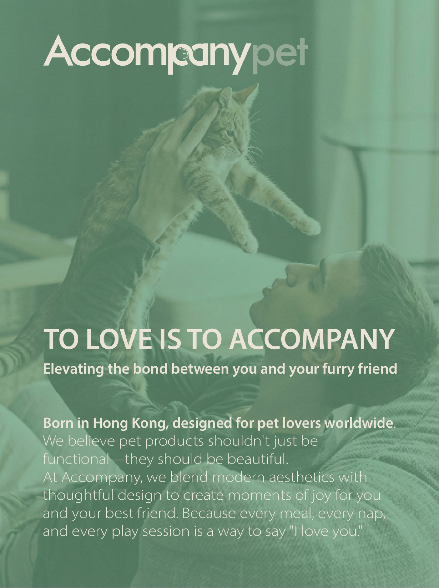 The Ultimate Cheese Condo | A 3-in-1 Cat Tree, Scratcher & Hideaway