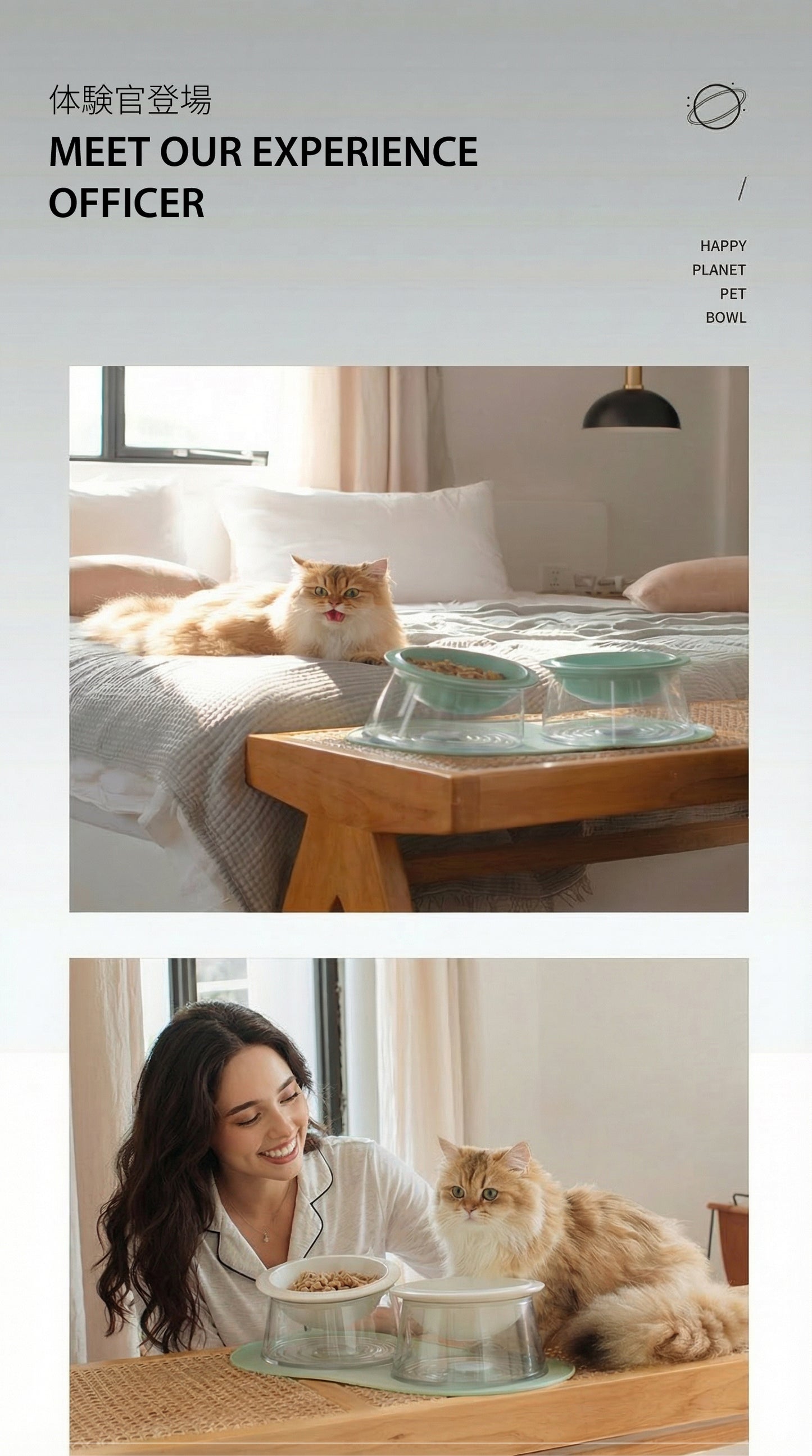 The "Happy Planet" Bowl | Elevated Ceramic Feeder (Anti-Whisker Fatigue)