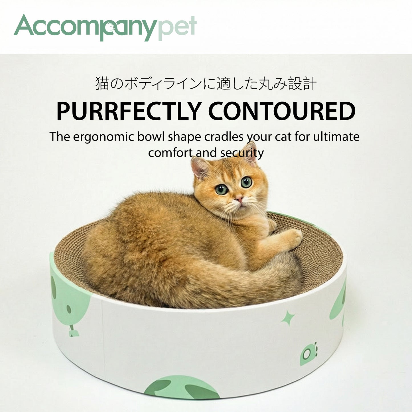 Planet Scratcher Lounge | A 2-in-1 Cat Scratcher & Bed