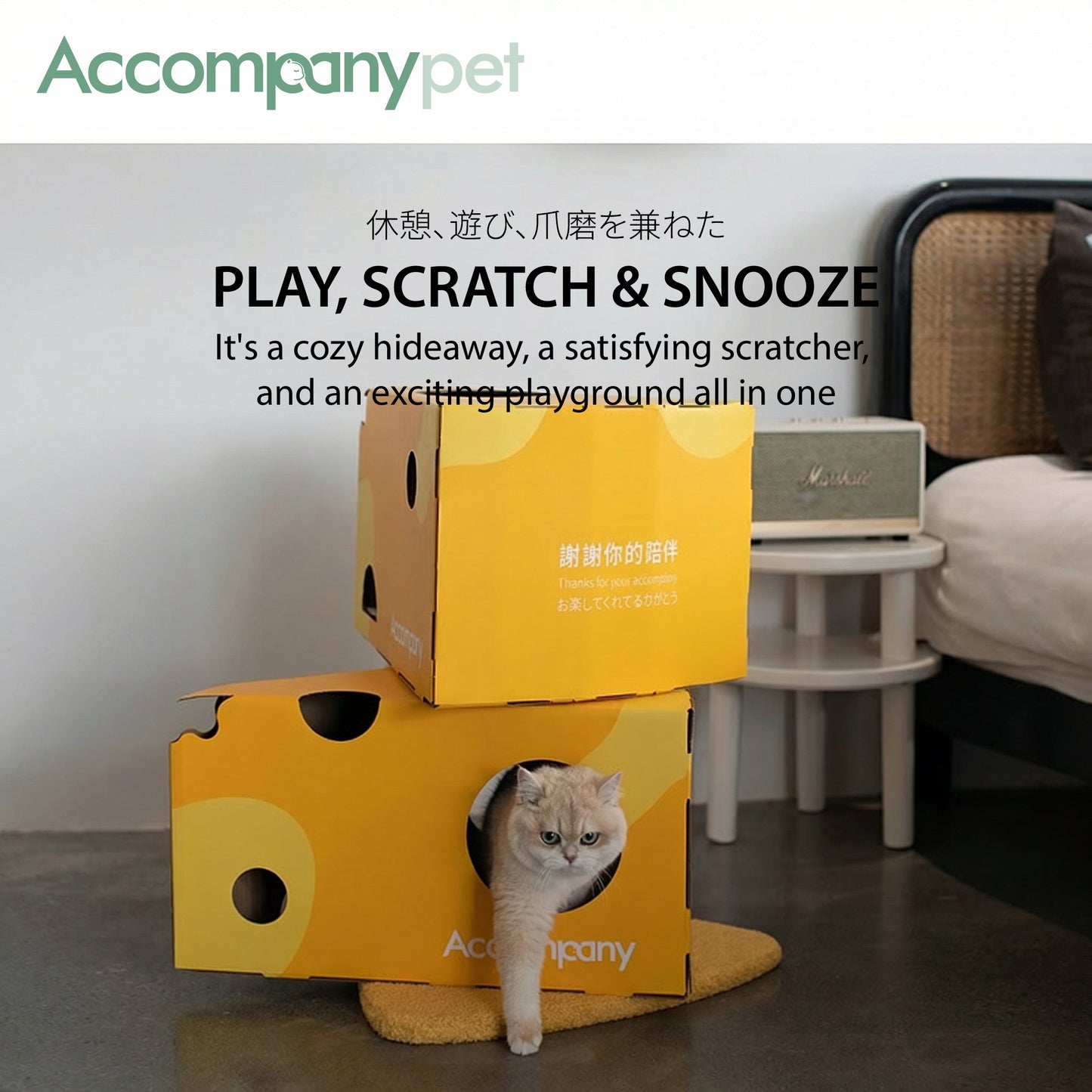 The Ultimate Cheese Condo | A 3-in-1 Cat Tree, Scratcher & Hideaway