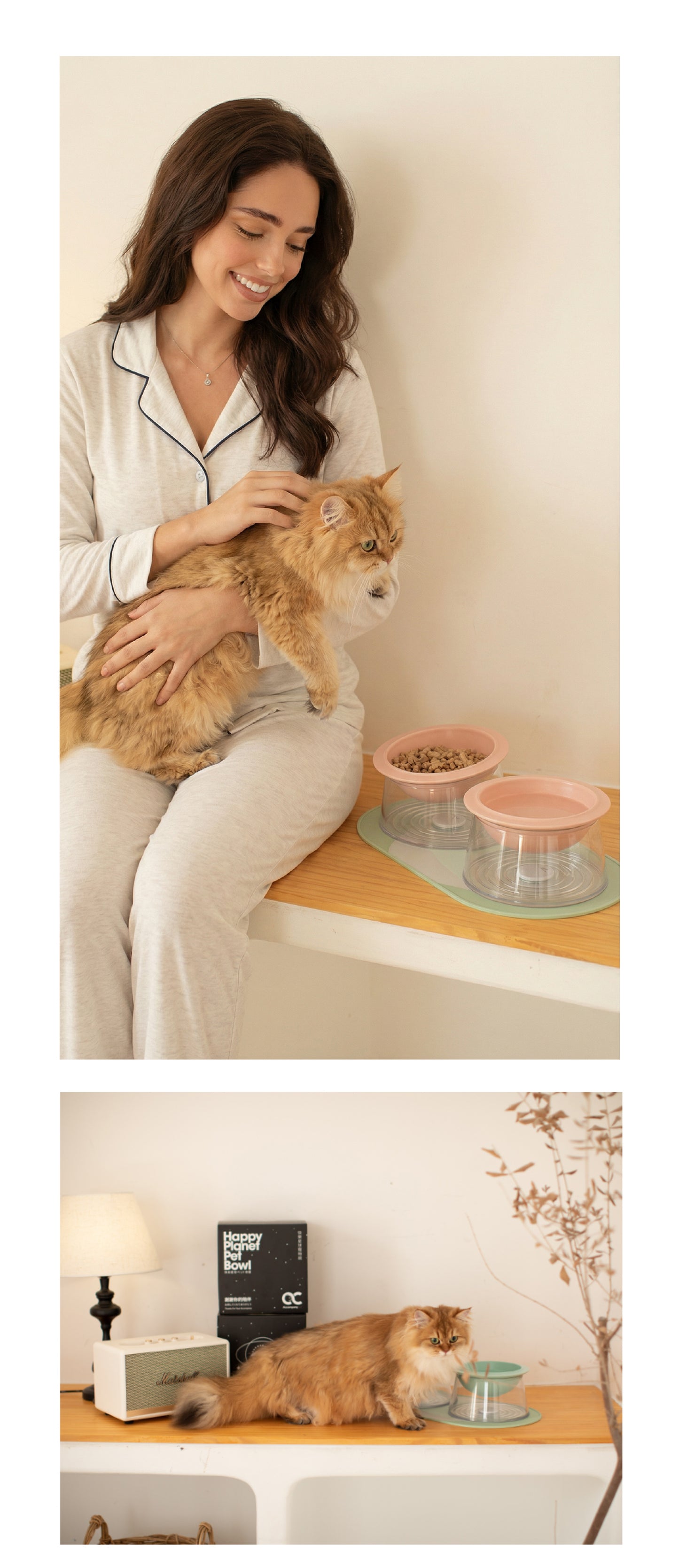 The "Happy Planet" Bowl | Elevated Ceramic Feeder (Anti-Whisker Fatigue)