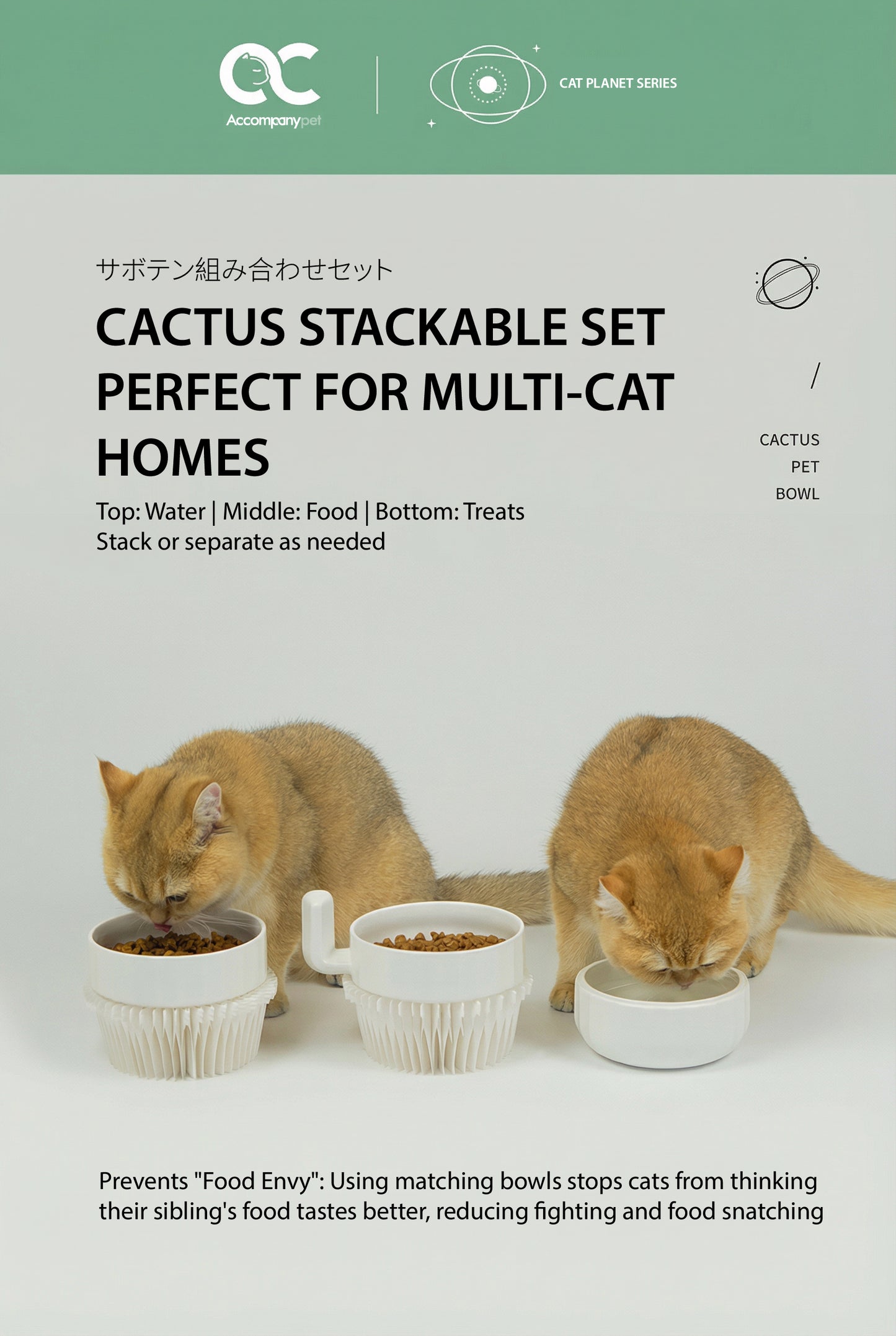 The "Cactus" Stackable Ceramic Bowl Set | 3-in-1 Feeder