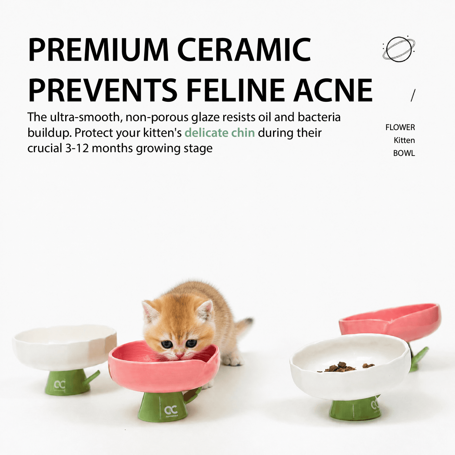 Aesthetic Kitten Flower Bowl (3-12 Months) - Premium Elevated Ceramic Feeder