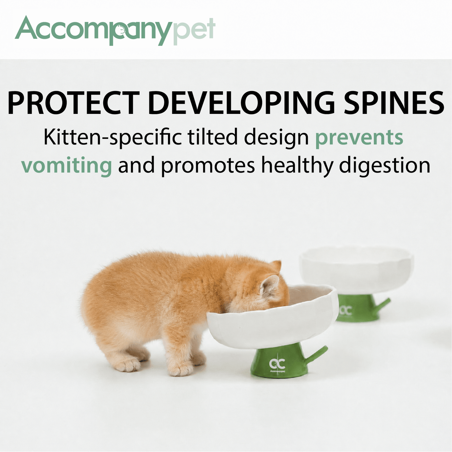 Aesthetic Kitten Flower Bowl (3-12 Months) - Premium Elevated Ceramic Feeder