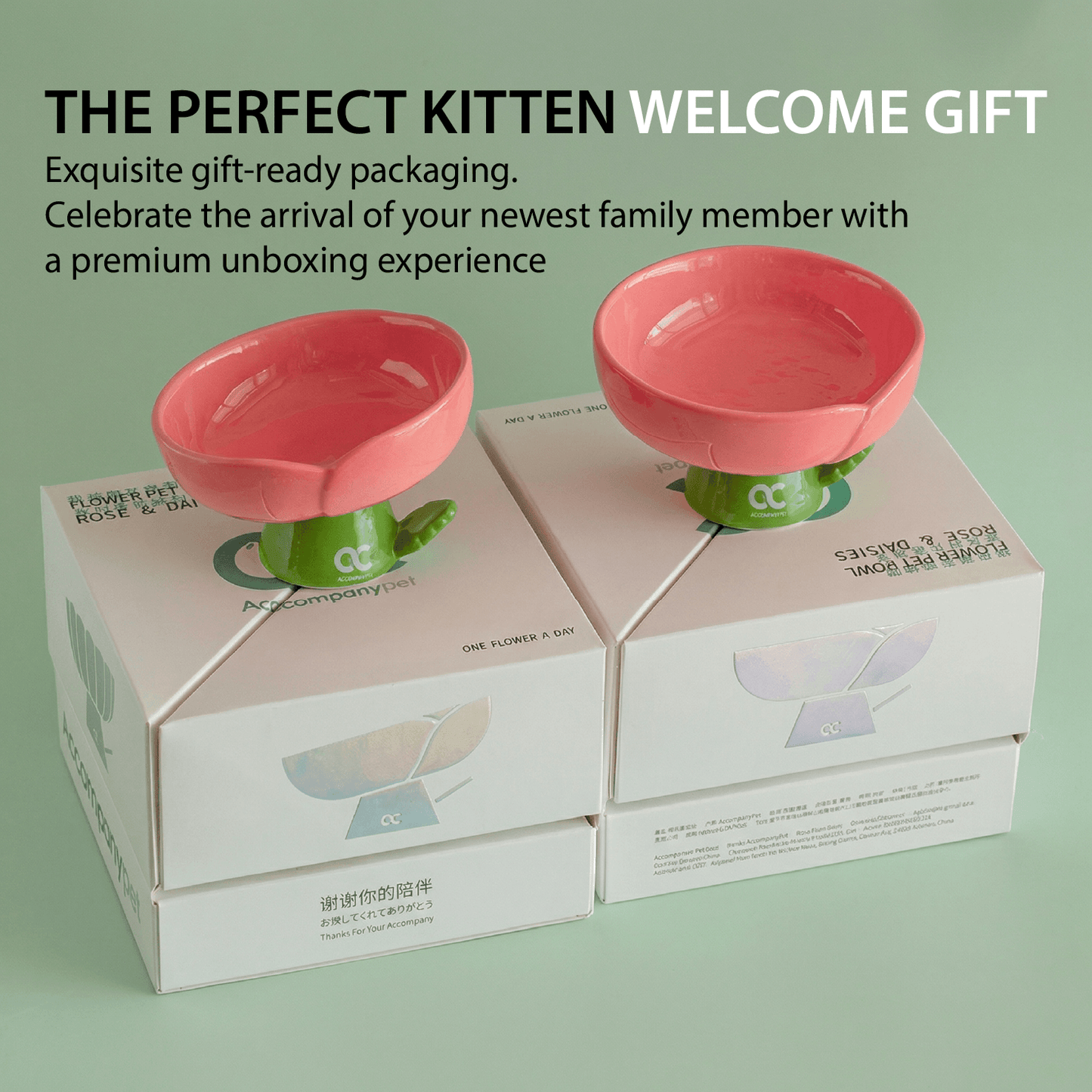 Aesthetic Kitten Flower Bowl (3-12 Months) - Premium Elevated Ceramic Feeder