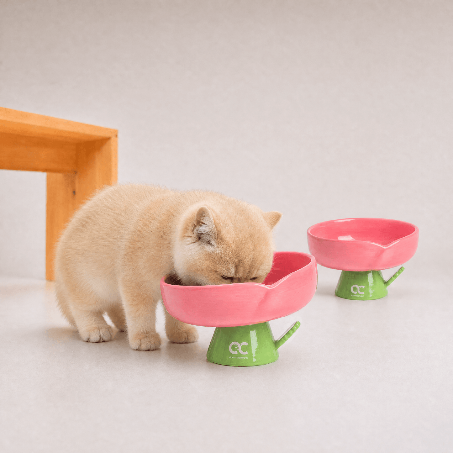 Aesthetic Kitten Flower Bowl (3-12 Months) - Premium Elevated Ceramic Feeder