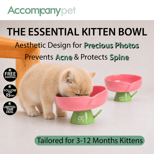Aesthetic Kitten Flower Bowl (3-12 Months) - Premium Elevated Ceramic Feeder