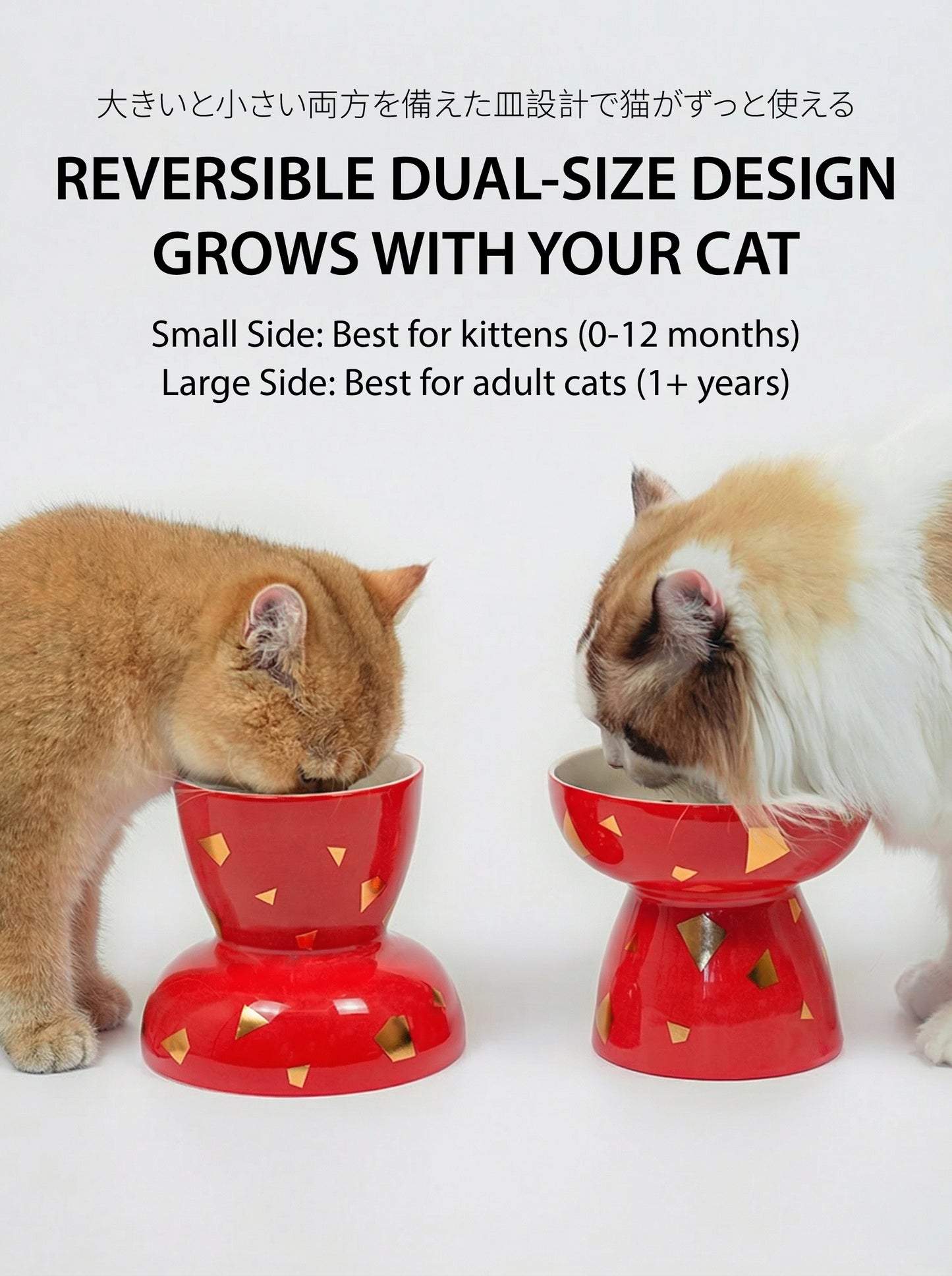 The "Fortune" Bowl | Reversible Ceramic Feeder (Grows With Your Pet)