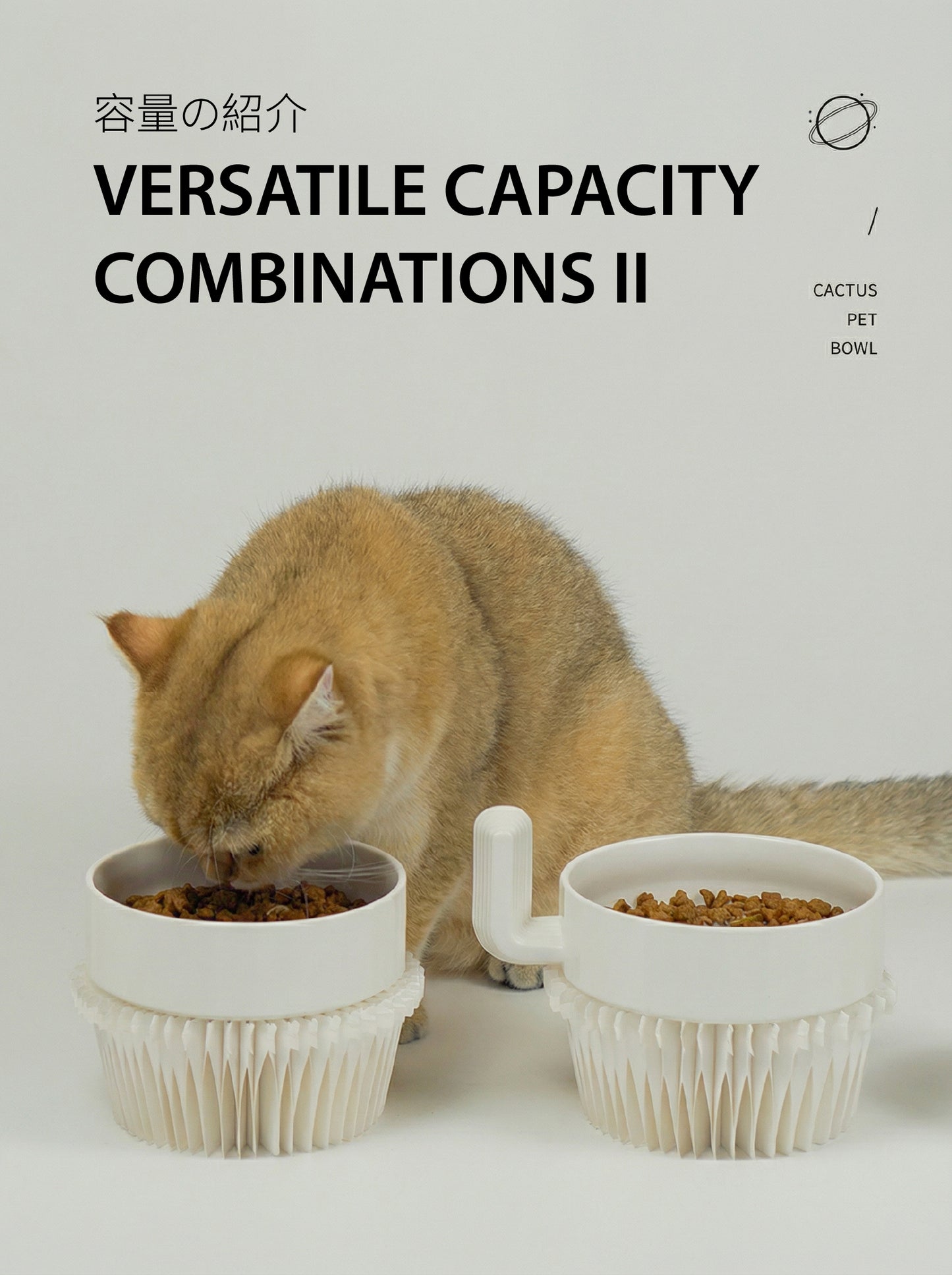 The "Cactus" Stackable Ceramic Bowl Set | 3-in-1 Feeder